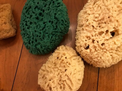 Unbenutzte Meeresschwämme neu grün/weiß/hellbraun und Bürste - Bild 8 von 12