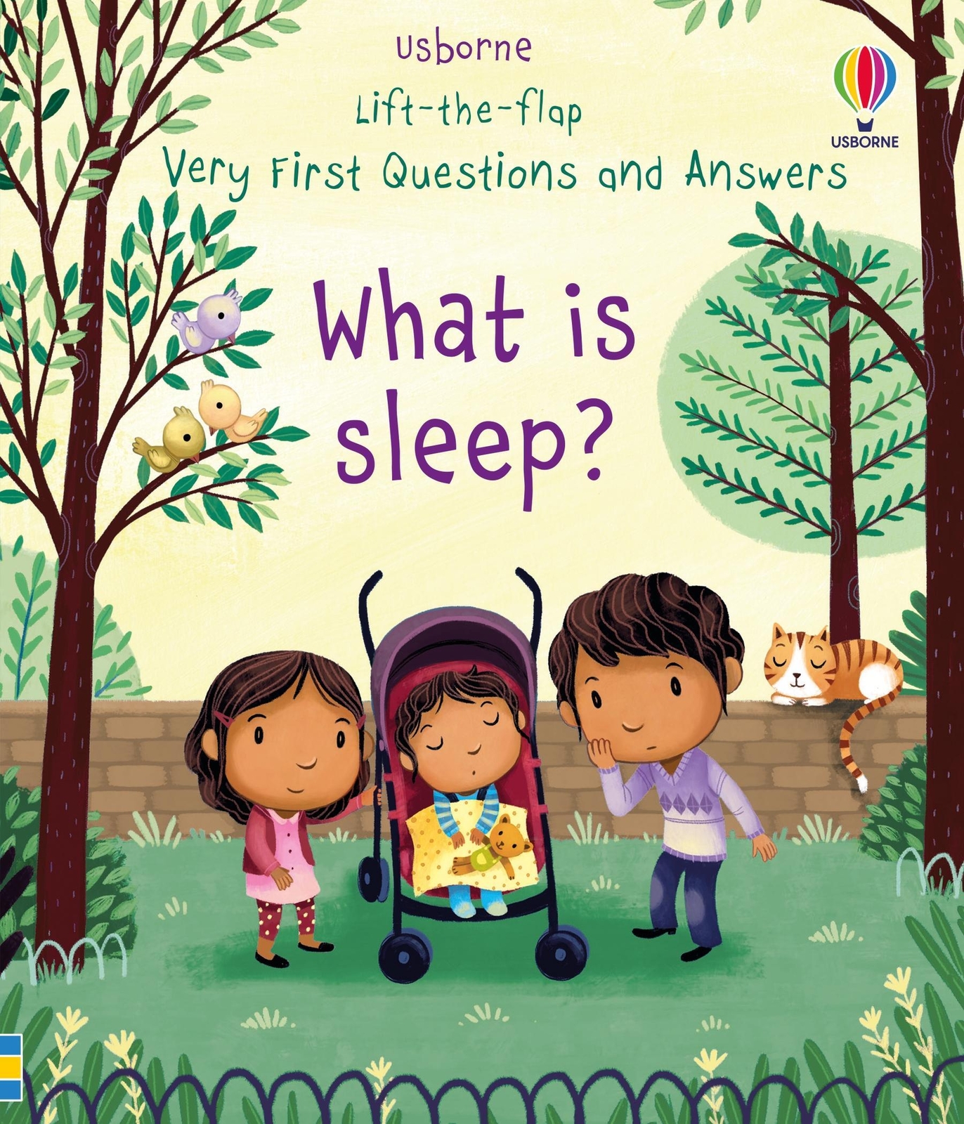 Thumbnail - Very First Lift-the-flap Questions & Answers What Is Sleep? | Katie