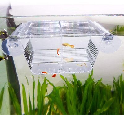 Capetsma Fisch-Zuchtkasten, Acryl Fisch-Isolationsbox mit Saugnäpfen, Brutkasten