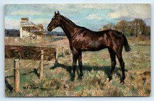 POSTCARD RACE HORSE AT RACE TRACK W VELTEN ARTIST