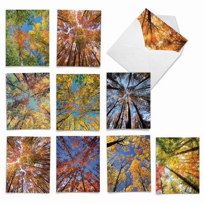 10 All Occasions Card Pack w/Envelopes - Over The Top NobleWorks M2006