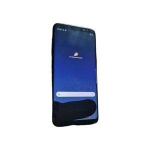 Samsung Galaxy S8 silber teildefekt
