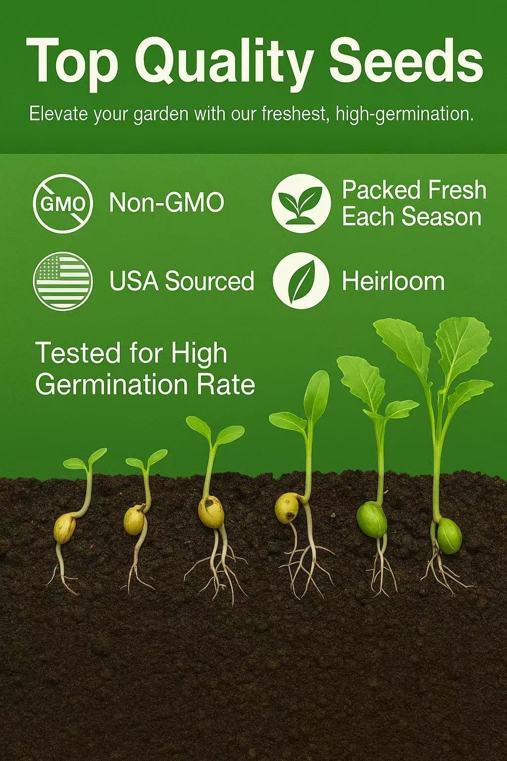 20000+ White Yarrow Seeds, Native Perennial Wildflower Plant Seed for Gardening