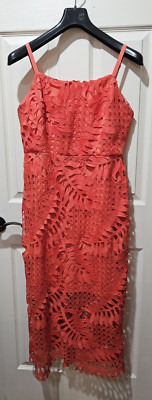Boston Propper Lace Dress  size 10