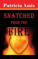 Patricia Amis | Snatched From The Fire | Taschenbuch | Englisch (2010)