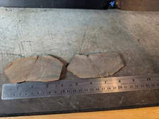 Mazon Creek Fossil  Tully Monstrum , Pit 11, 4 inches