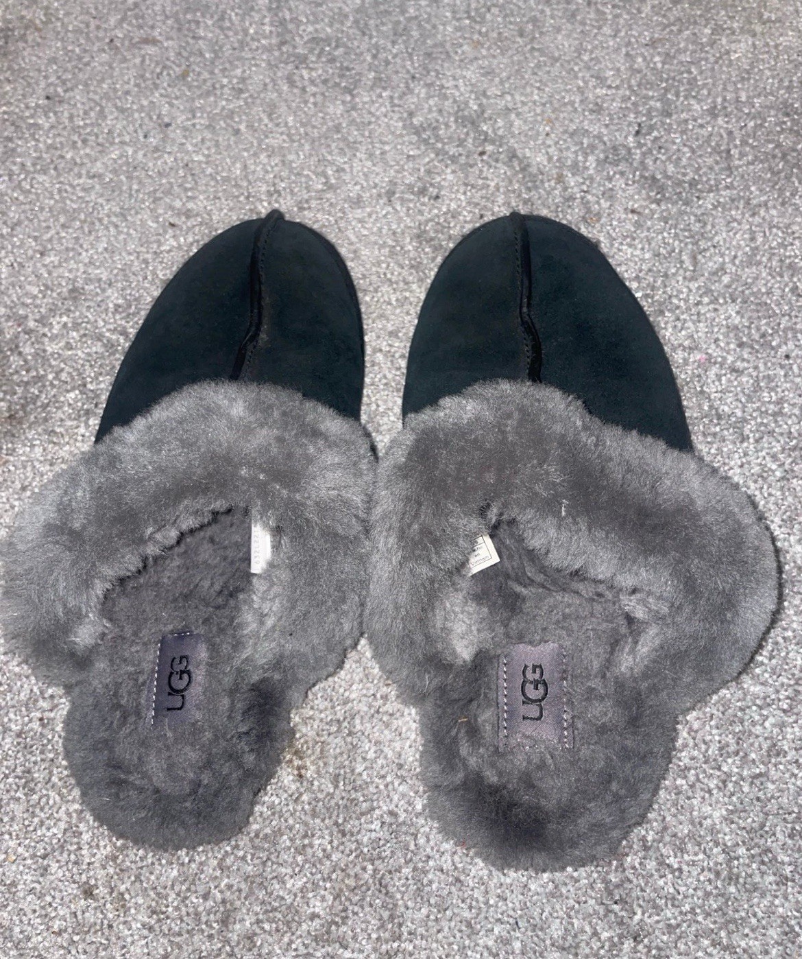 UGG Slippers - image 1