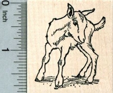 Baby Goat Rubber Stamp, Cute Kid G31822 WM