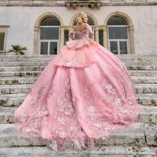 Pink Princess Ball Gown Quinceanera Dresses Beaded Lace Flower Appliques Sweet16
