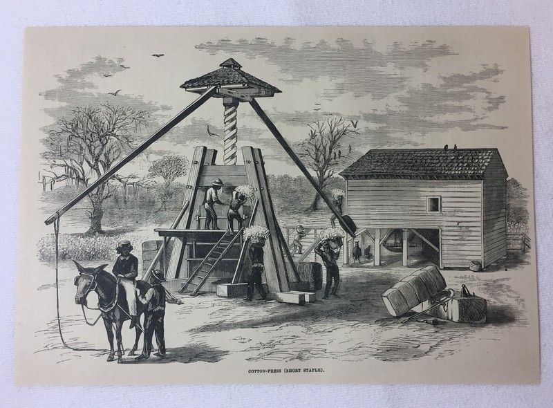 1880 magazine engraving ~ COTTON PRESS in South Carolina