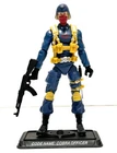 GI Joe 25th Anniversary Cobra Officer V6 Comic Pack Exclusive Vintage Figure Lot