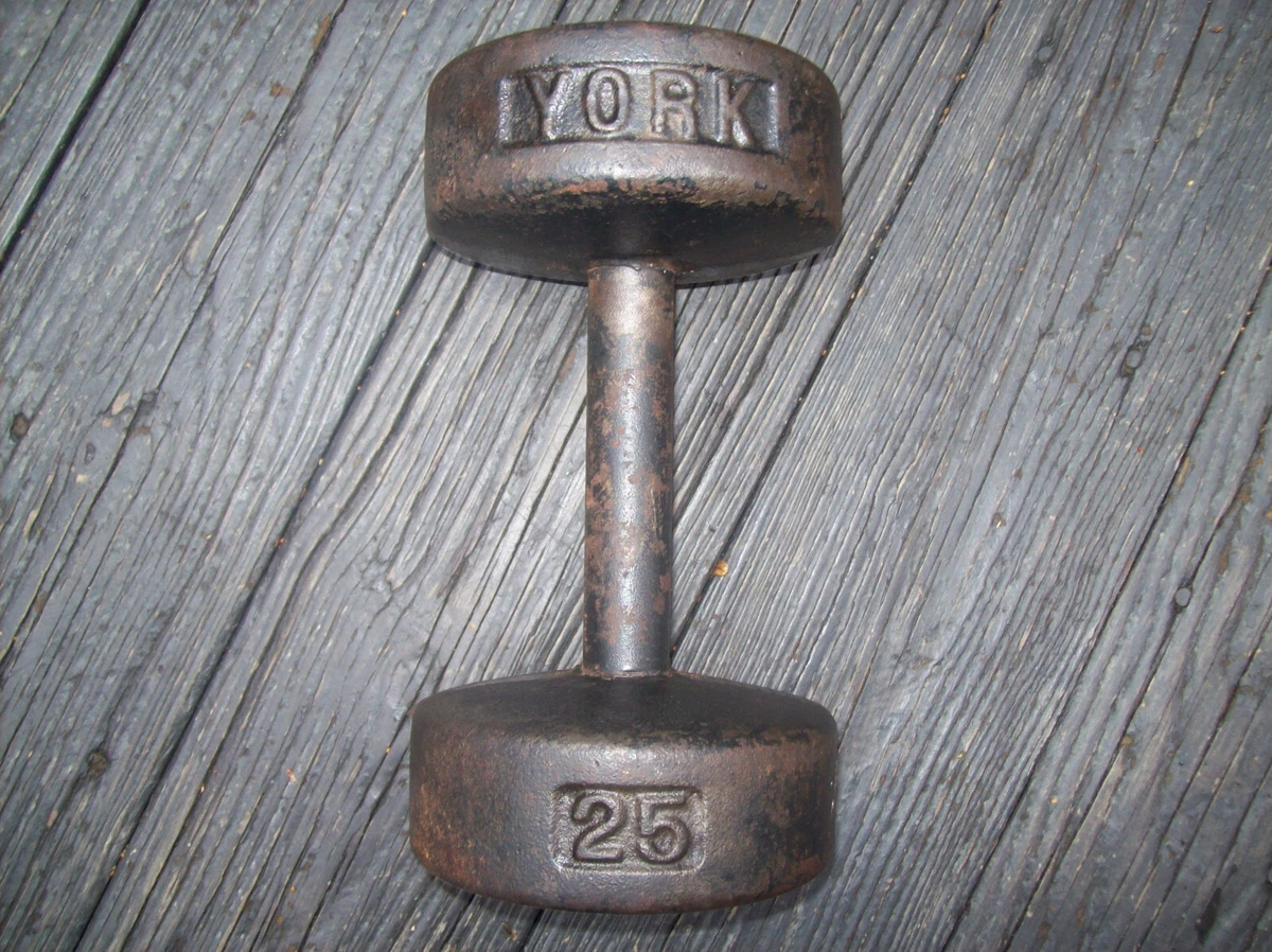 York 25 lb dumbbell sale