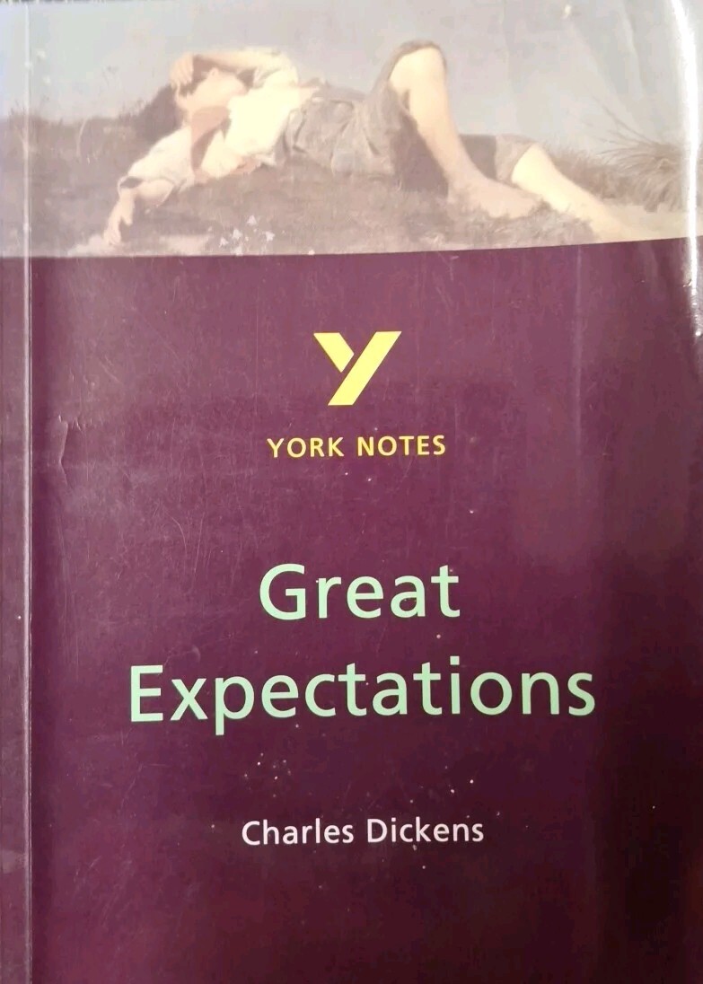 York Notes on Charles Dickens' ""Great Expectations""-David Langston, Martin Walk