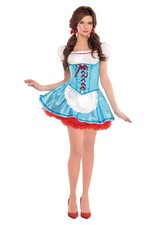 Wizard of Oz Classic Dorothy Women's Costume