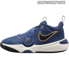 Nike Team Hustle D11 GS 'Mystic Navy Metallic Gold' FZ8463-400 Kids New Sizes