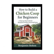 How to Build a Chicken Coop for Beginners
