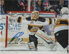 Brandon Wheat Kings Jiri Patera Signed Autographed 8x10 WHL Photo COA #1