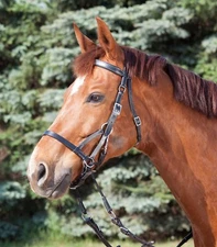 Bitless Bridle Complete Leather With Reins