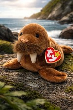 Ty Beanie Baby Paul the Walrus 1999   Vintage NWT SFH