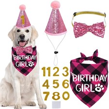 Pink Dog Birthday Hat, Bandana, Bow Tie, Numbers, X-Large, Outfit, Party