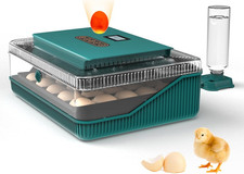 Automatic Egg Incubator for Hatching Eggs: Egg Incubator with Automatic Egg Turn