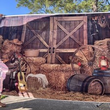 Cowboy Western Backdrop 5x7