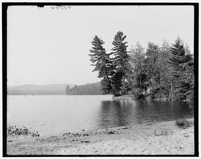 Photo:Tamarack Pt., the Antlers, Raquette Lake, Adirondack Mts., N.Y.
