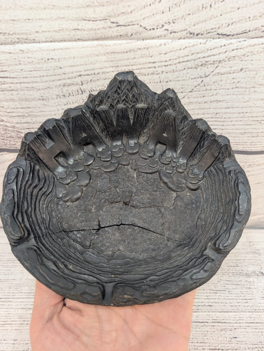 Vintage Coco Joe Hawaii モンステラ　トレイ 25+ Coco Joes for sale | Updated Oct 2026