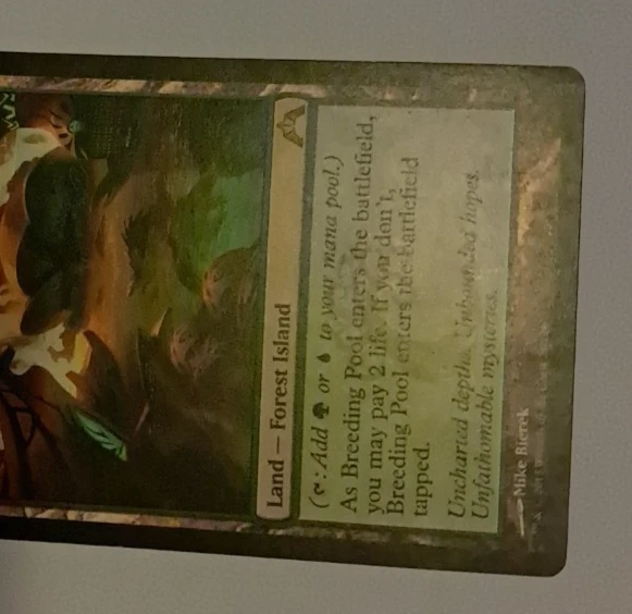 Breeding Pool HP Magic the Gathering Gatecrash MTG - Image 4 of 4