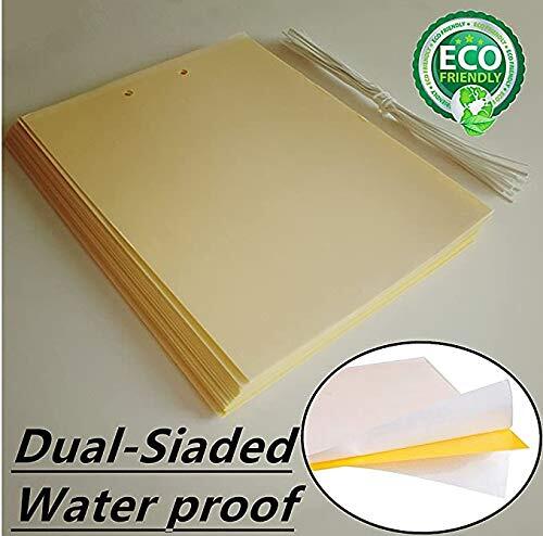 20 Count Dual Yellow Sticky Traps 8 X 6 Inch Set for Flying Plant Insect Like - Bild 2 von 5