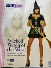 Wicked Witch of the West Wizard of Oz Womens Halloween Costume Cosplay Sz Sm