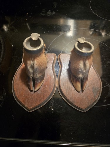 2 DEER FEET ASHTRAYS TAXIDERMY MAN CAVE
