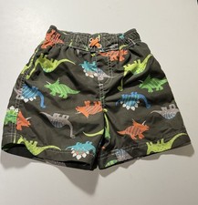 Wippette 24M Dinosaur Print Swim Trunks Green Orange Blue Gray Drawstring