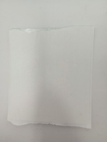 Sunday Funday: The Ride OEM Authentic Cartridge Label (Nintendo NES) Wisdom Tree