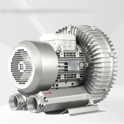 220V leistungsstarke Vortex-Luftpumpe Hochdruck-Vortex-Ventilator Industriepumpe