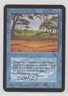 Phantasmal Terrain Magic: Limited Edition Alpha 1993