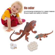 Iguana Life Cycle Model Set Growth Lifelike PVC Plastic Toy Early Education