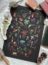 Poster Tamriel stampa arte a base di erbe rotoli anziani Skyrim Morrowind piante di radice di nirn