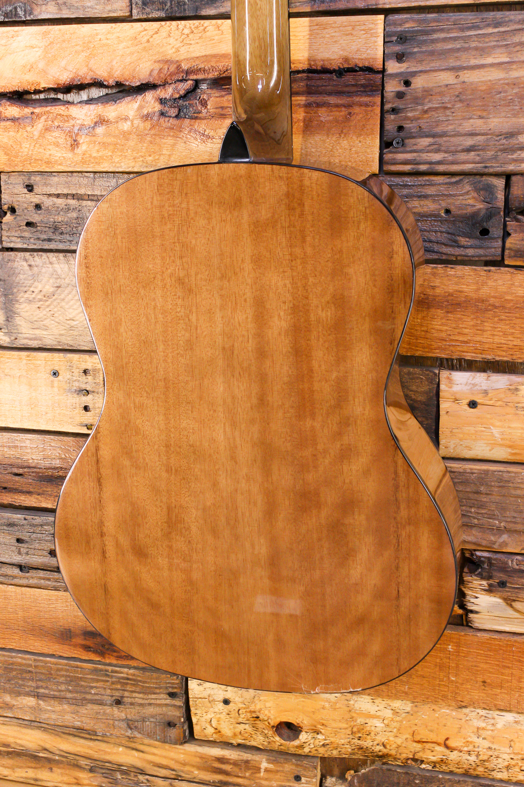 Rogue Starter Acoustic Guitar Walnut ISSUE eBay