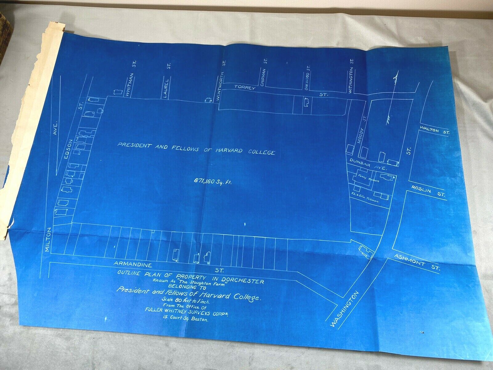 1914 Boston Blueprint, President & Fellows of Harvard College Land Survey