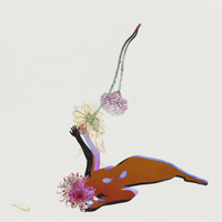 Future Islands The Far Field (Vinyl) 12\ Album"