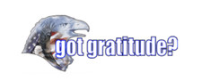 6" us got gratitude eagle bumper sticker decal usa made