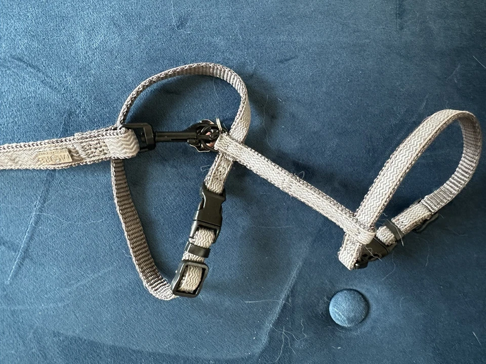 Katzengeschirr mit Leine Größe S / M 120 cm 19-30cm MORE for cats and dogs GRAU - Bild 2 von 4