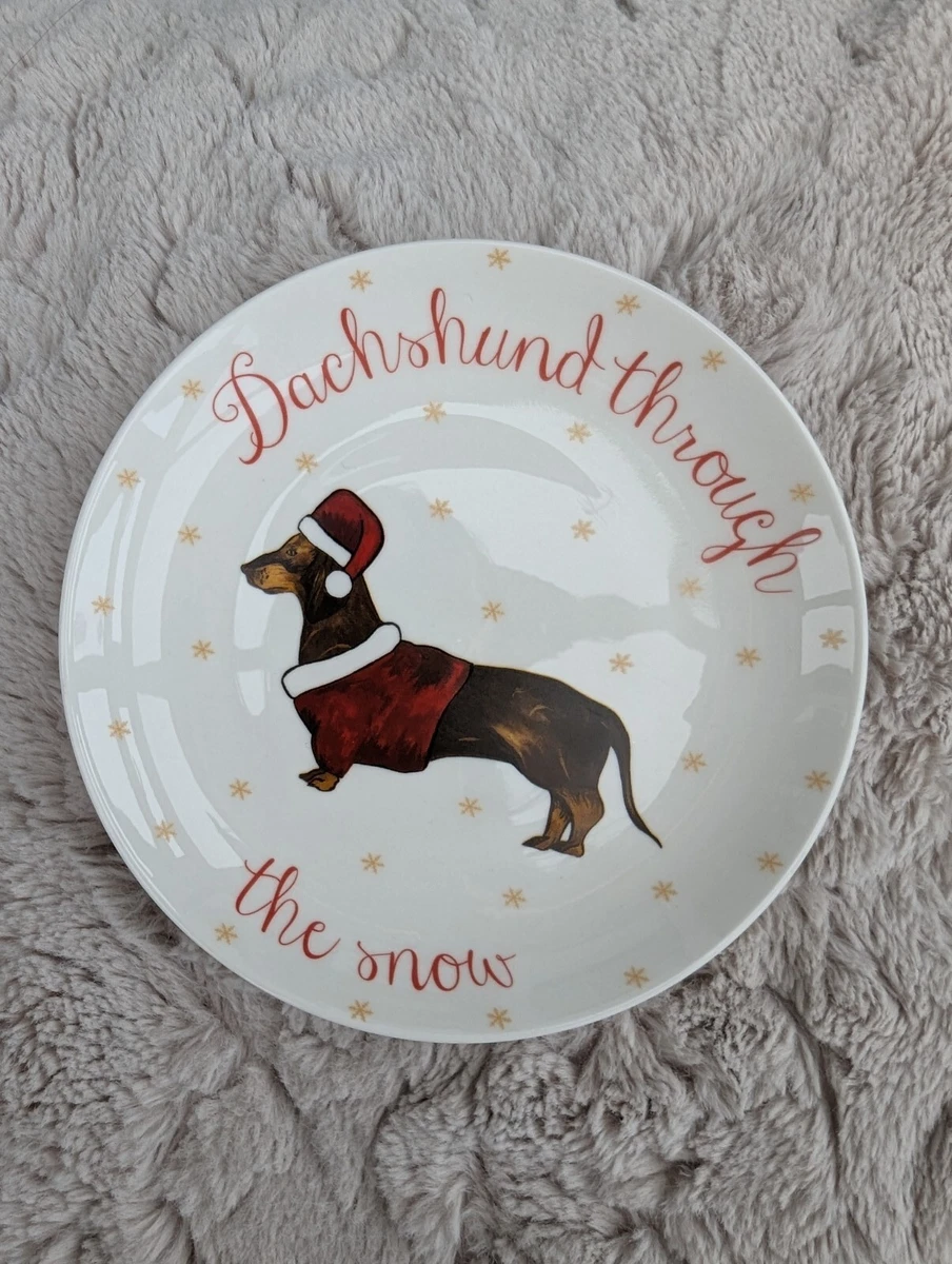 Tk maxx dogs hot sale
