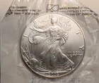 2002-W American Silver Eagle Bullion Coin - No Mint Mark - Uncirculated