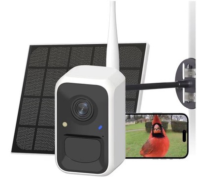 NEW NETVUE Birdfy Smart Bird Feeder Camera - Solar Powered AI Identify 6000+