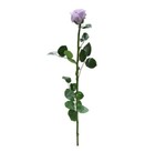 Bild 4 von 5