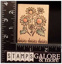 HERO ARTS RUBBER STAMPS E2072 DAISES GARDEN FLOWERS 2255
