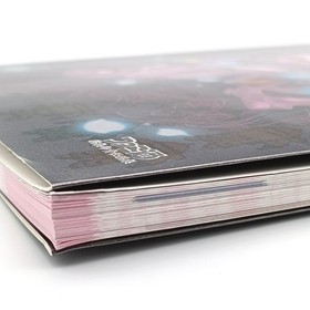 Sakura Wars / Sakura Taisen Official Guide Book: Battle Arc 1996 Sega Saturn SS