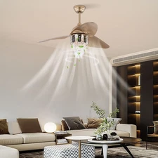 Ceiling Fan Light W/ Remote Control, Ceiling Fan Lamp for Bedroom Kitchen